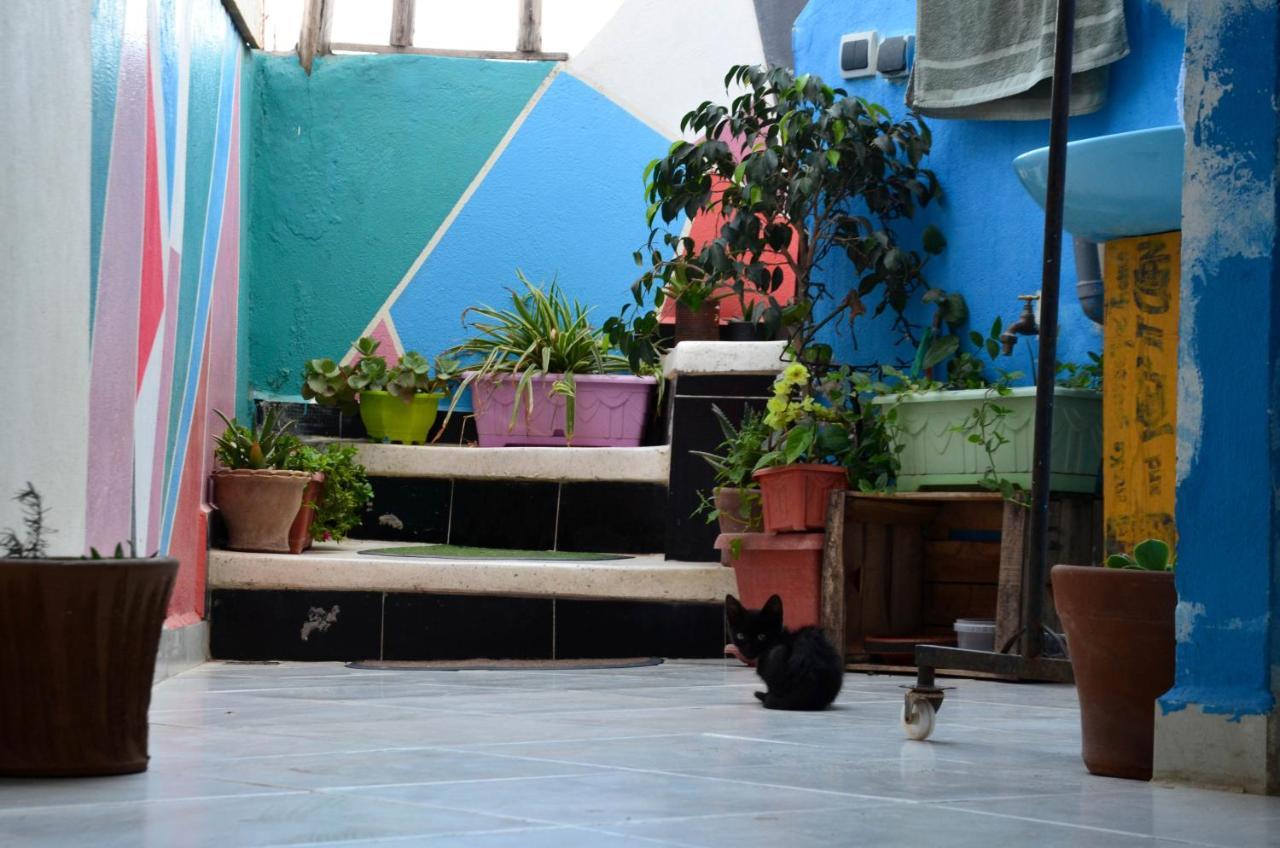 Tayought Surf Hostel Taghazout Luaran gambar