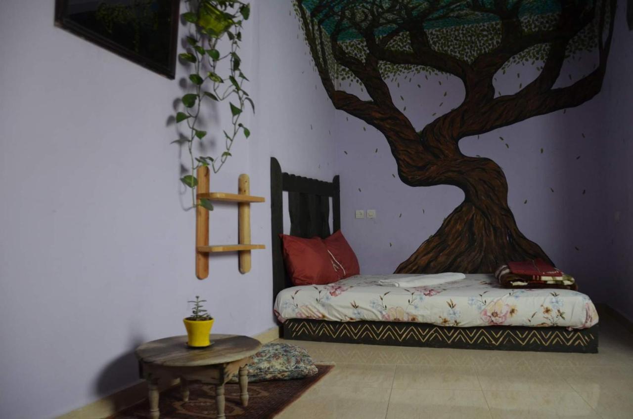 Tayought Surf Hostel Taghazout Bilik gambar